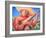 Musician-Oscar Ortiz-Framed Giclee Print