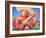 Musician-Oscar Ortiz-Framed Giclee Print