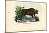 Musk Ox, 1863-79-Raimundo Petraroja-Mounted Giclee Print