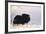 Musk Ox Bull Wildlife, Arctic National Wildlife Refuge, Alaska, USA-Hugh Rose-Framed Photographic Print