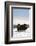 Musk Ox Bull Wildlife, Arctic National Wildlife Refuge, Alaska, USA-Hugh Rose-Framed Photographic Print