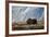 Musk Ox, Ovibos Moschatus, Norway, Dovrefjell, Autumn, Cow-Ronald Wittek-Framed Photographic Print