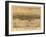 Muskegon, Michigan - Panoramic Map-Lantern Press-Framed Art Print