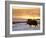Muskox Bull Silhouetted at Sunset, North Slope of the Brooks Range, Alaska, USA-Steve Kazlowski-Framed Photographic Print