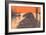 Muskrat on Dam-null-Framed Art Print