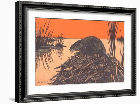 Muskrat on Dam-null-Framed Art Print