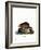 Muskrat-null-Framed Giclee Print