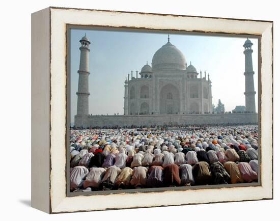 Muslim Faithful Pray at the Mosque in the Taj Mahal Complex to Celebrate Eid-Al-Fitr-null-Framed Premier Image Canvas