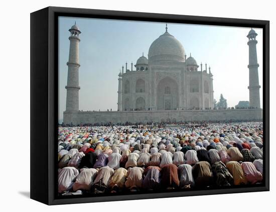 Muslim Faithful Pray at the Mosque in the Taj Mahal Complex to Celebrate Eid-Al-Fitr-null-Framed Premier Image Canvas