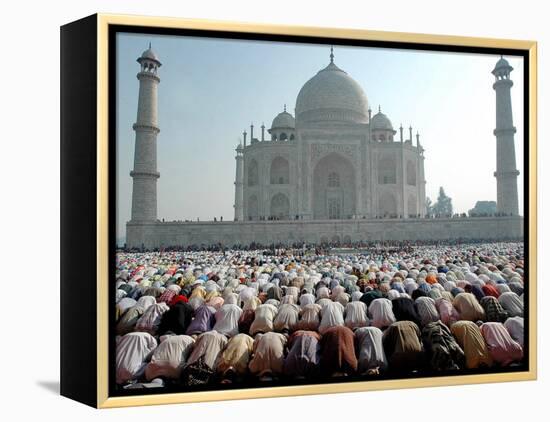 Muslim Faithful Pray at the Mosque in the Taj Mahal Complex to Celebrate Eid-Al-Fitr-null-Framed Premier Image Canvas