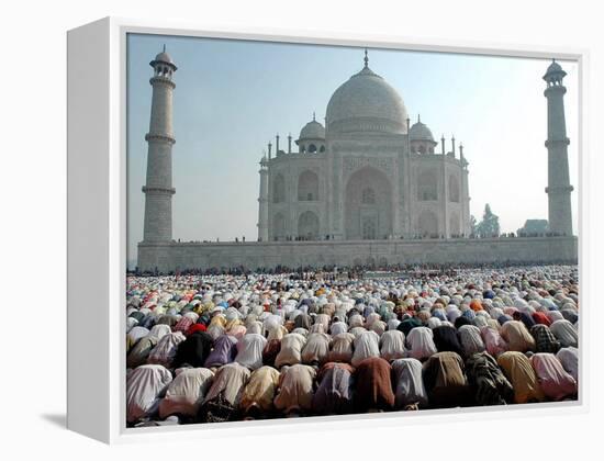 Muslim Faithful Pray at the Mosque in the Taj Mahal Complex to Celebrate Eid-Al-Fitr-null-Framed Premier Image Canvas