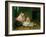 Muslim Lady Reclining, 1789-Francesco Renaldi-Framed Giclee Print