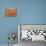 Muslim Man Praying in the Desert, Sebha, Ubari, Libya, North Africa, Africa-Godong-Photographic Print displayed on a wall