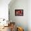 Muslim Man Walks by Wall of Moroccan Pottery, Marrakech, Morocco-John & Lisa Merrill-Framed Premier Image Canvas displayed on a wall