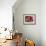 Muslim Man Walks by Wall of Moroccan Pottery, Marrakech, Morocco-John & Lisa Merrill-Framed Photographic Print displayed on a wall