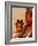 Muslim Woman with Daughter, Techiman, Brong-Ahafo Region, Dagomabaline Area, Ghana-Alison Jones-Framed Photographic Print