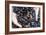 Mussel Farming-Louise Murray-Framed Photographic Print