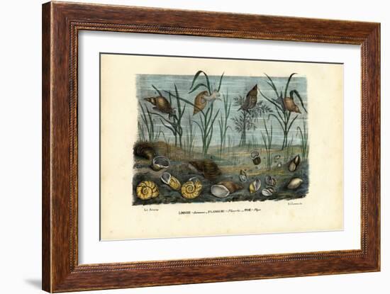 Mussels, 1863-79-Raimundo Petraroja-Framed Giclee Print