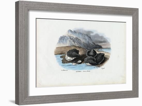 Mussels, 1863-79-Raimundo Petraroja-Framed Giclee Print