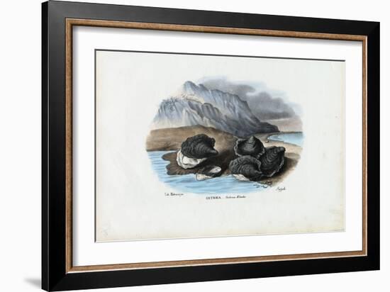 Mussels, 1863-79-Raimundo Petraroja-Framed Giclee Print