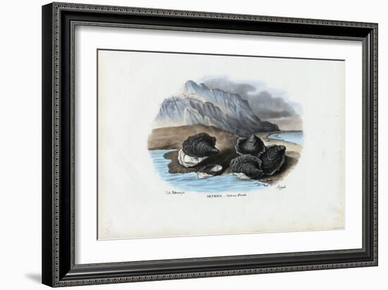 Mussels, 1863-79-Raimundo Petraroja-Framed Giclee Print