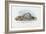 Mussels, 1863-79-Raimundo Petraroja-Framed Giclee Print