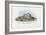 Mussels, 1863-79-Raimundo Petraroja-Framed Giclee Print