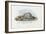 Mussels, 1863-79-Raimundo Petraroja-Framed Giclee Print