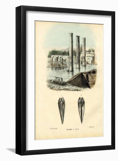 Mussels, 1863-79-Raimundo Petraroja-Framed Giclee Print