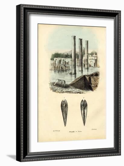 Mussels, 1863-79-Raimundo Petraroja-Framed Giclee Print