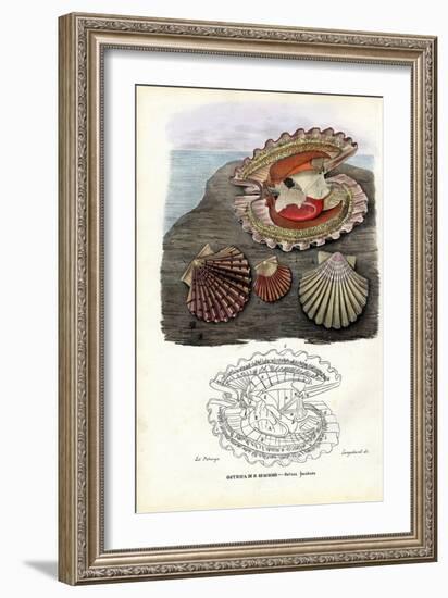 Mussels, 1863-79-Raimundo Petraroja-Framed Giclee Print