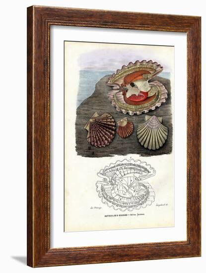 Mussels, 1863-79-Raimundo Petraroja-Framed Giclee Print