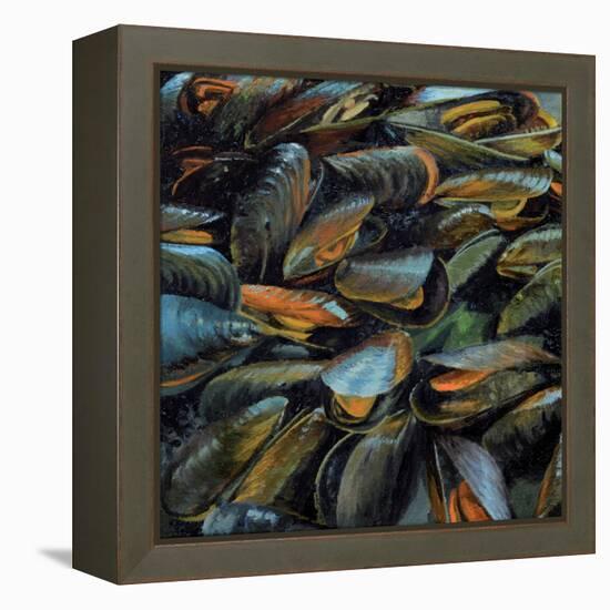 Mussels, 2014-Aris Kalaizis-Framed Premier Image Canvas