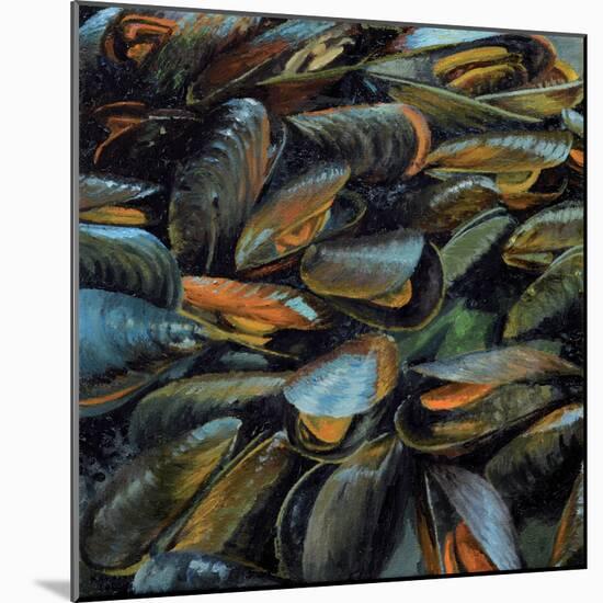 Mussels, 2014-Aris Kalaizis-Mounted Giclee Print