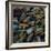 Mussels, 2014-Aris Kalaizis-Framed Giclee Print