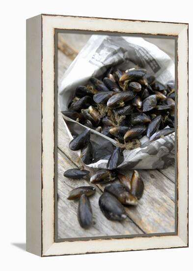 Mussels in Newspaper-Winfried Heinze-Framed Premier Image Canvas