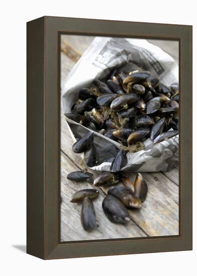 Mussels in Newspaper-Winfried Heinze-Framed Premier Image Canvas