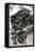 Mussels in Newspaper-Winfried Heinze-Framed Premier Image Canvas