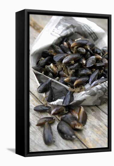 Mussels in Newspaper-Winfried Heinze-Framed Premier Image Canvas