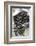 Mussels in Newspaper-Winfried Heinze-Framed Photographic Print