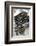 Mussels in Newspaper-Winfried Heinze-Framed Photographic Print