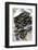 Mussels in Newspaper-Winfried Heinze-Framed Photographic Print