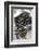 Mussels in Newspaper-Winfried Heinze-Framed Photographic Print