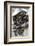 Mussels in Newspaper-Winfried Heinze-Framed Photographic Print