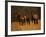 Mustang Family-Sally Linden-Framed Photographic Print