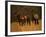 Mustang Family-Sally Linden-Framed Photographic Print