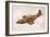 Mustang Fighter Plane-null-Framed Art Print