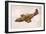 Mustang Fighter Plane-null-Framed Art Print