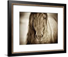 Mustang Sally-Lisa Dearing-Framed Photographic Print