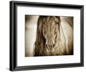 Mustang Sally-Lisa Dearing-Framed Photographic Print